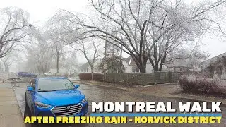 [4K] Foggy Montreal Walk after Freezing Rain in April 2023