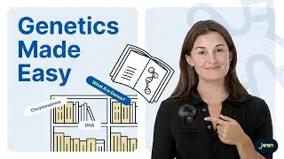 Genetics 101: DNA, Chromosomes, Variants & Cancer | Jeen