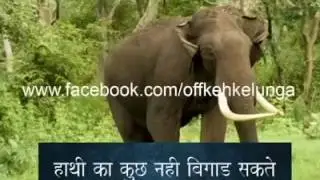 Congressio ka ghanta.