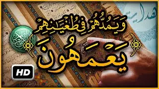 هل تعلم ما معنى ويمدهم في طغيانهم يعمهون ؟ سبحان الله تفسير أغرب كلمات القرآن الكريم