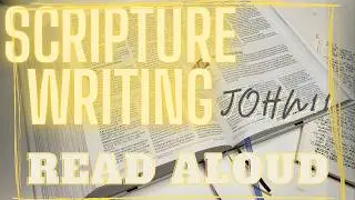 John Chapter 11 | Scripture Read Aloud | Scripture Writing