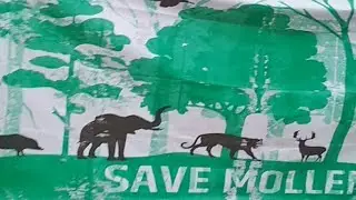 Save Mollem