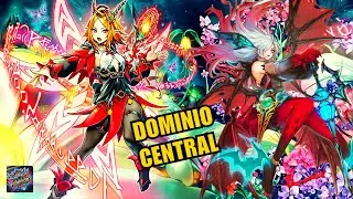 【Elvennotes + White Forest】Combos | Replays + Decklist | TCG 2025 YuGiOh【遊戲王】#Yugimpossible