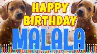 Happy Birthday Malala! ( Funny Talking Dogs ) What Is Free On My Birthday