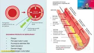 ProArgi-9+: Menguak Manfaat dan Peran Arginin dalam Kesehatan Tubuh - PART 1