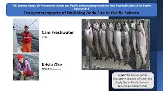 Seminar #14: Ecosystem Impacts of Declining Body Size in Pacific Salmon
