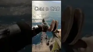 Сны в САО