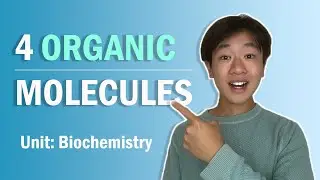 4 Organic Molecules You MUST Know! | Biology 101