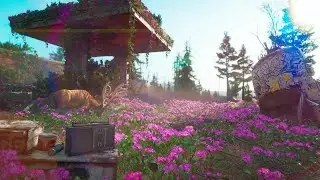 011 Far Cry New Dawn - Stream 2026