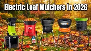 Top 5 Best Electric Leaf Mulchers in 2026 | Powerful, Quiet & Eco-Friendly Picks