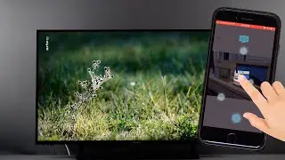 Fotos vom Smartphone &uuml;bertragen | Panasonic Support
