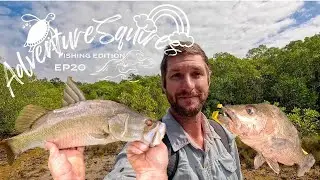 ADVENTURESQUIRES HINCHINBROOK MANGROVE FISHING ON FOOT, BARRAMUNDI, MANGROVE JACK, ESTUARY COD