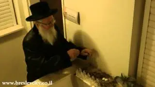 נדיר: מוהרא''ש מקיים מצוות שילוח הקן