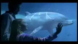 Aquarium Trawling: Help Save Marine Life