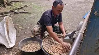 THE AMAZING MACHINE EVERY CLEVER FARMER USES TO GRIND CORN! - Agriculture Farming