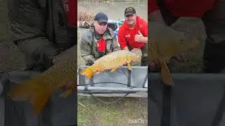 &Aacute;r-T&egrave;r ( Horg&aacute;szvide&oacute;k). P&aacute;ros Freestyle horg&aacute;szverseny, a Never Zero Sporthorg&aacute;sz tavon.
