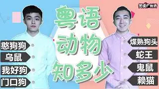 【笑谈广州话】盘点那些粤语才会出现的动物