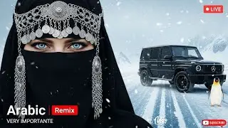Desert Groove 2025 &ndash; Kazakh &times; Arabic Bass Remix | Tashkent Deep Bass Party Uzbekistan