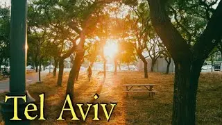 A relaxing evening in Ramat Aviv | Tel Aviv 4K Virtual Walking