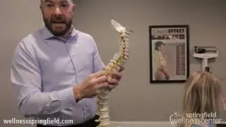 Springfield IL Back Pain: Springfield Wellness Center