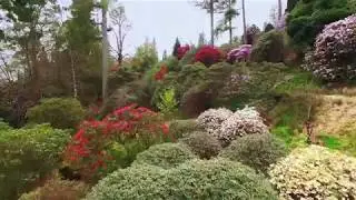 Benmore Botanic Garden