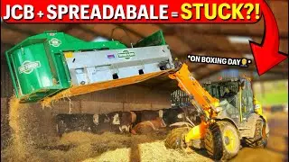 BOXING DAY CHOAS WITH MY JCB + SPREADABALE!!🤦‍♂️🤯
