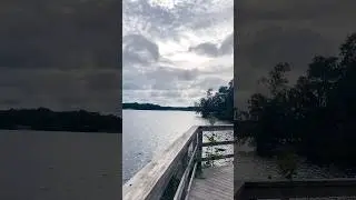 Tranquil Lake Scenery 🌫️🌿🦆