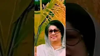 #funny #bnp #bnp #freefire #funnyvideo