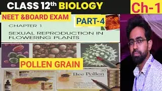 POLLEN GRAIN  -PART-4 FOR NEET AND BOARD EXAM 👌 