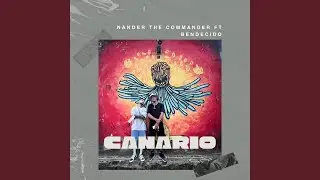 Canario