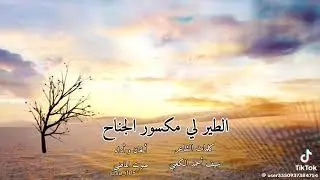 15 يونيو، 2025