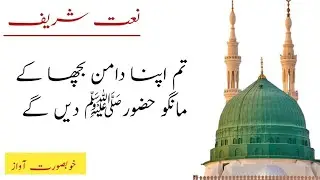Tum Apna Daman Bicha Ke Mango | New Beautiful Urdu Naat Sharif By Salma Chudhary |