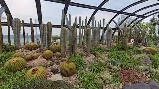 Cactus Garden at Changi Airport Terminal 1