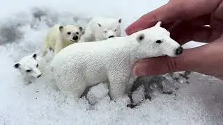 A Polar Bear Story|schleich|