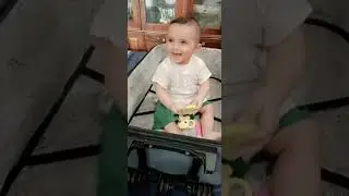briefcase mein bitha Diya mahbeer KO bht Khush hai#trending #viral #cutebaby #baby