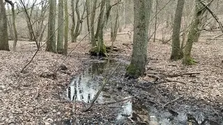 Bydgoszcz Rynkowo