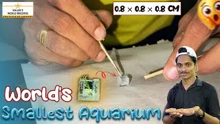 World&rsquo;s Smallest Aquarium With Complete Ecosystem🤯🐟