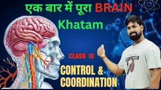 Human Brain :- Parts and Functions Class 10 science | Control and Coordination Part 4