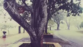 Beauty of kurunegala lakeround while raining.