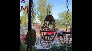 Bobbie's Flowers and Marketplace Tour