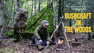 Solo Bushcraft Trip with Dog, Selfmade Wooden Tripod, Bushbox Fire, A Frame Tarp, Nature, No Words