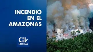 Brasil: Fuego destruye santuario de la biodiversidad en el Amazonas