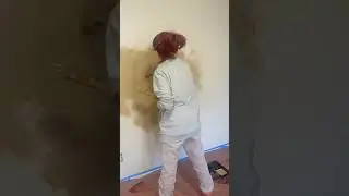Bedroom Reno Day 2 Limewash using regular paint #limewash #bedroommakeover #diyhomeimprovement