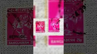 Same stamp, completely different sizes?! #shorts #collectibles