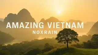 Amazing Vietnam &mdash; NoxRain | Deep House 2025 + 4K Nature Vibes🌿