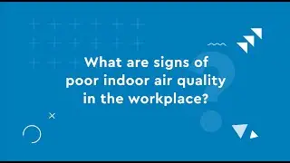 IAQ explainer part 2: What Are The Signs Of Poor Indoor Air Quality?