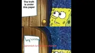 Memes With MK8D Music To Popularize (Animal Crossing Summer)