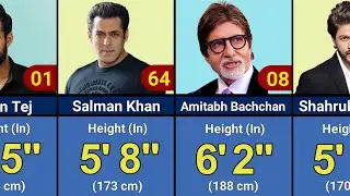 Height of Famous Indian Bollywood Actors🔥   |Data Exhibition|