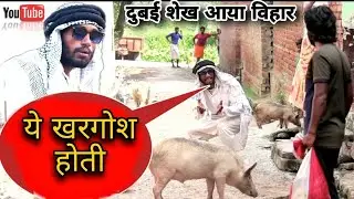 three Question Part - 2 Comedy || UP Dubai Sheikh Video || Mr dilip comedy