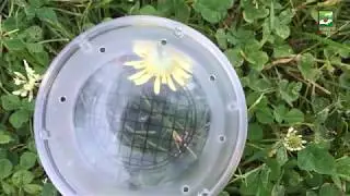 Outdoor Adventures!